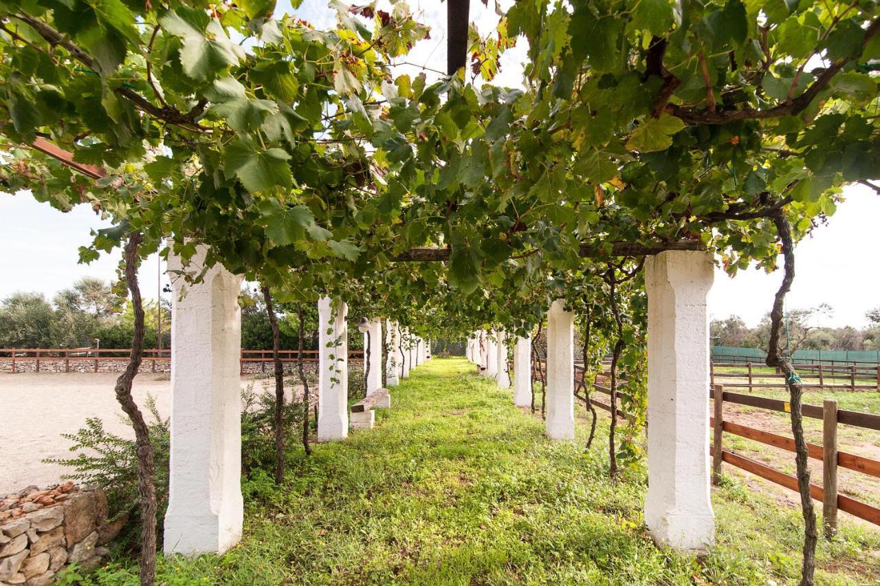 Tenuta Aphrodite Racale Exterior foto